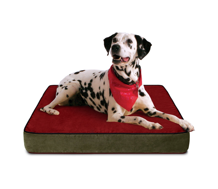 Buddy Beds Luxury Memory Foam Dog Bed with Lux Designer Microfiber